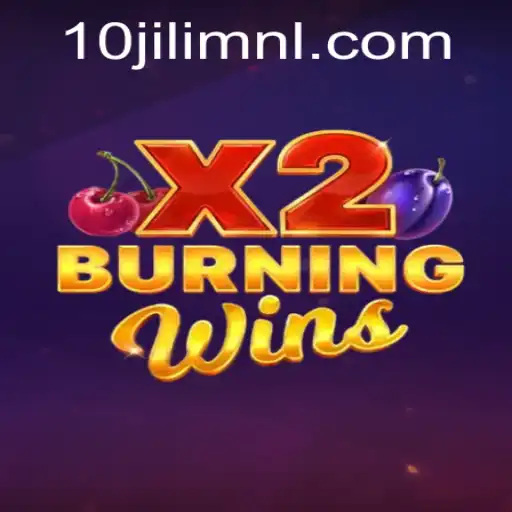Unveiling the Thrilling Gameplay of BurningWinsX2